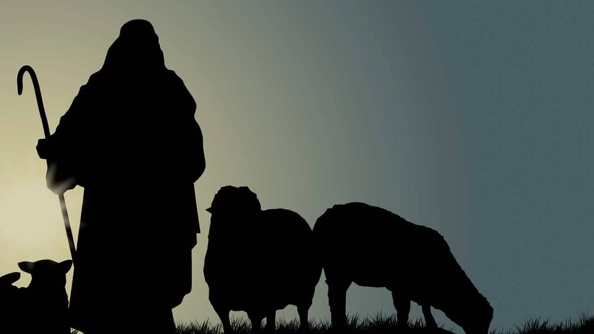 Yo soy el buen pastor - Juan 10:14-16