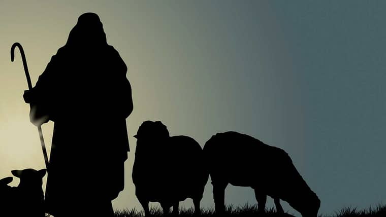Yo soy el buen pastor - Juan 10:14-16